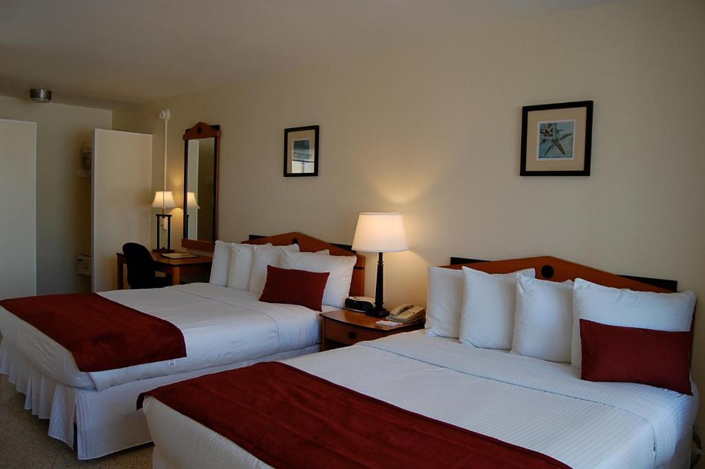 Alcazar Resort- Gay Mens Resort Fort Lauderdale Bilik gambar